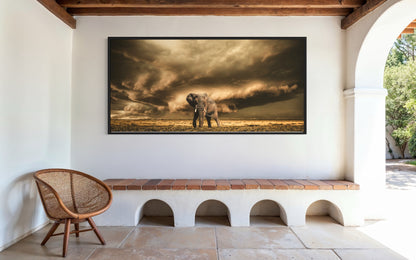 African Elephant under Dark African Sky